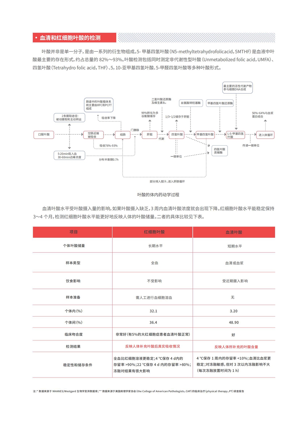 紅細(xì)胞葉酸彩頁_02.jpg